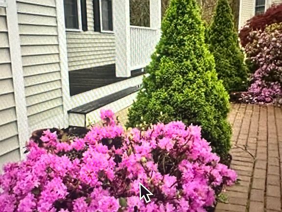 3rd image of 23 Wild Rose Drive