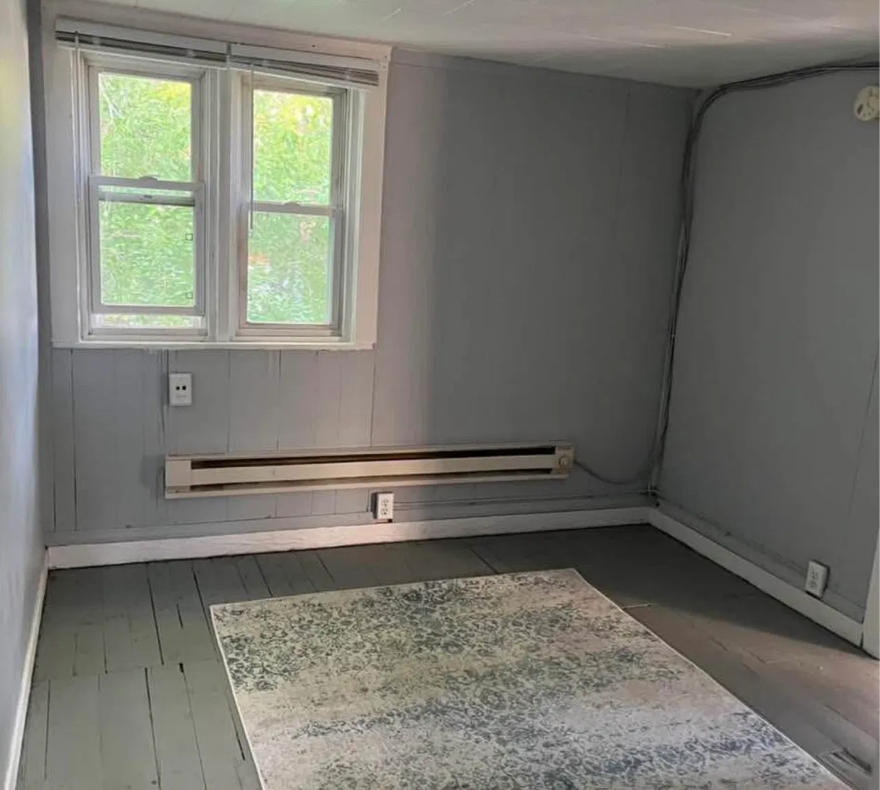1 bed, 550 sqft, $695 — Photo 3
