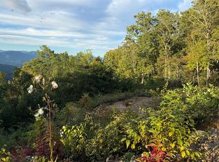 585 Cardinal Bluff Dr, Whittier, NC 28789