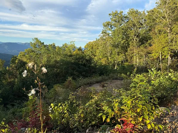 585 Cardinal Bluff Dr, Whittier, NC 28789