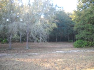 256 NE 389th Ave, Old Town, FL 32680
