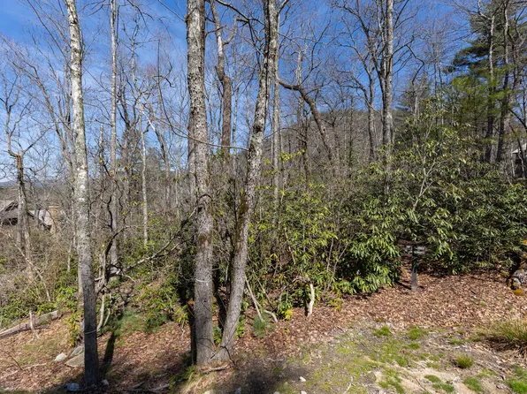 54 Ramble Ridge Road, Cashiers, NC 28717