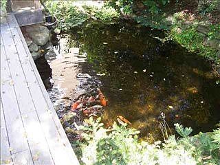 5th image of 153 Marshall Bridge Dr