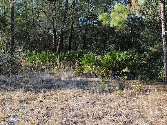 2nd image of 33452 Coral Rock Dr