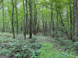 0 Brewster Field Rd, Cedartown, GA 30125