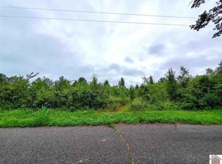 10655 Childress Rd, Kevil, KY 42053