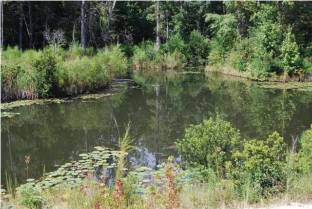 2nd image of 5616 Heyward Smalls Rd