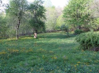 375 Mud Lick Rd, Webster Springs, WV 26288