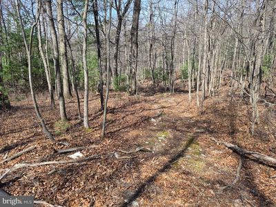 0 Dogwood Ln, Bentonville, VA, 22610