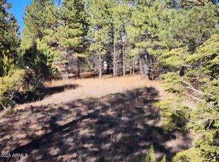 Cedar Bark Trl PARCEL 4, Overgaard, AZ 85933