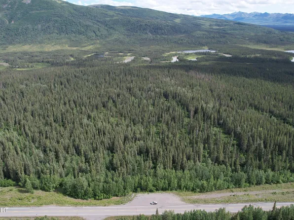 Mm 68 Tok Cutoff Hwy, Gakona, AK 99586