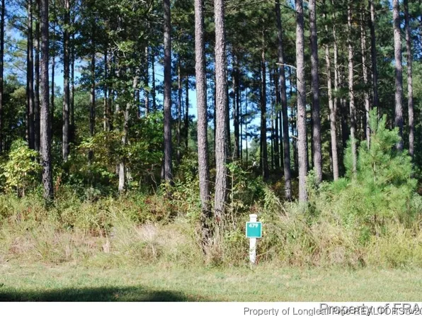 45 Broadlake Ln, Spring Lake, NC 28390