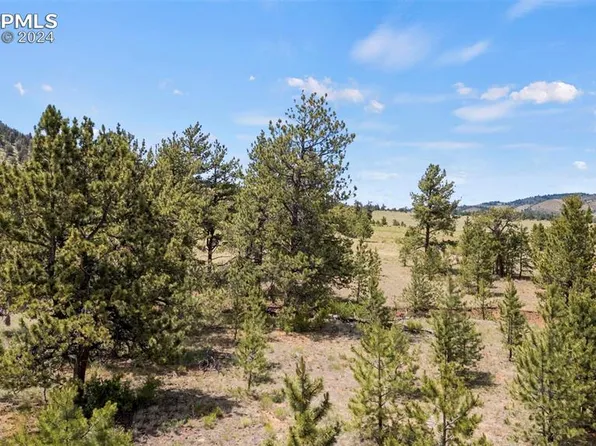 424 Mesa Rd, Hartsel, CO 80449