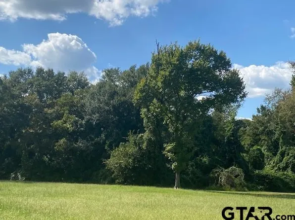 3rd St, Athens, TX 75751