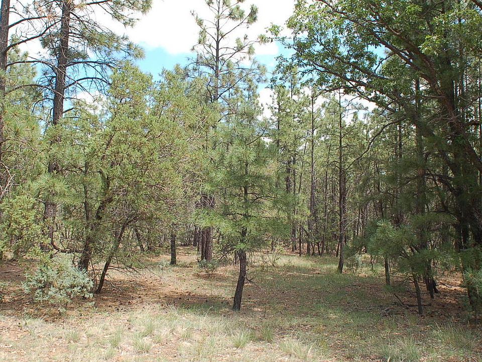 2nd image of 6228 Wagon Wheel Rd