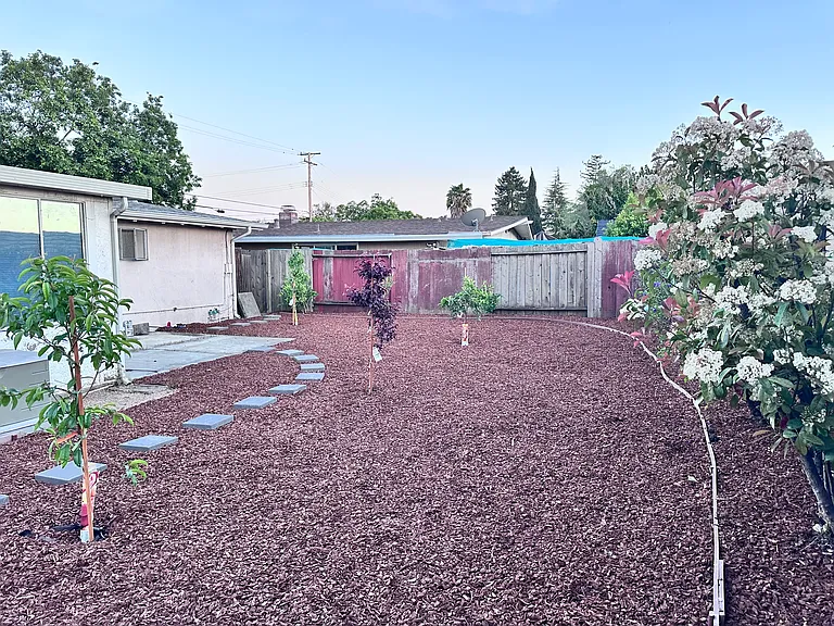 Backyard with fruit trees
