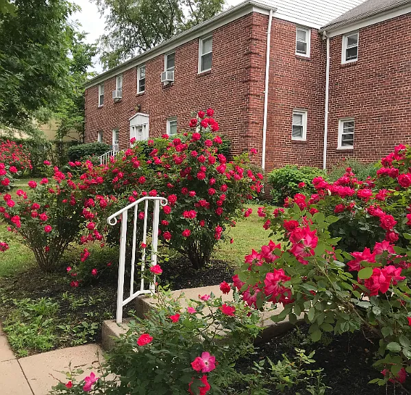 316 Magnolia St — Photo 17