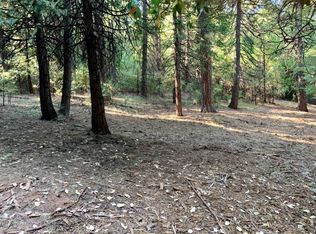 27265 Columbia Dr, Pioneer, CA 95666