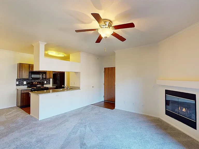 Apartment kitchen and living room.