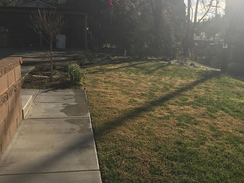 LARGE SHARED BACKYARD