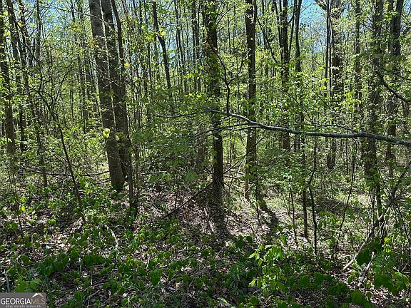 4th image of 0 N 411th Hwy