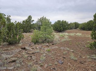 22 County Road 8111, Concho, AZ 85924