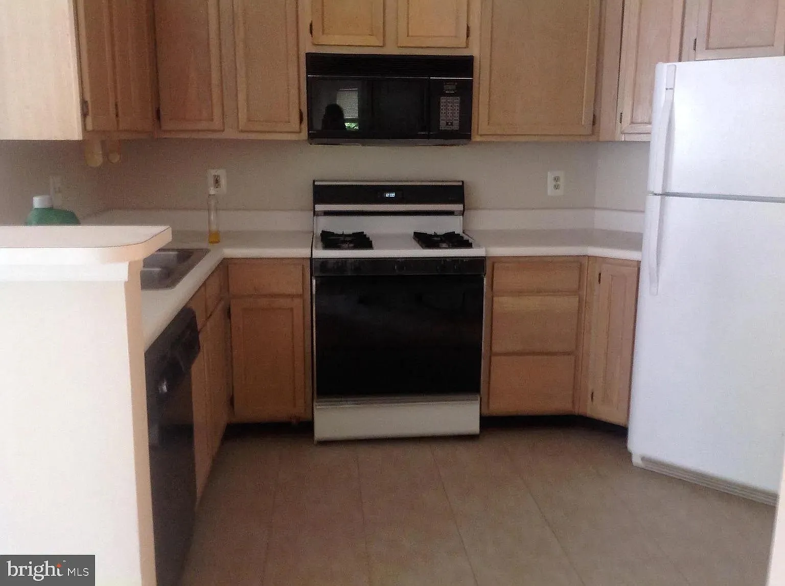 14321 Climbing Rose Way — Photo 4