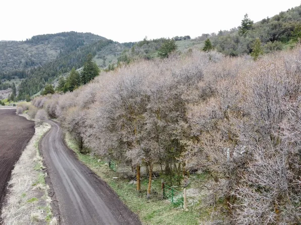 McPherson Canyon Rd, Grace, ID 83241