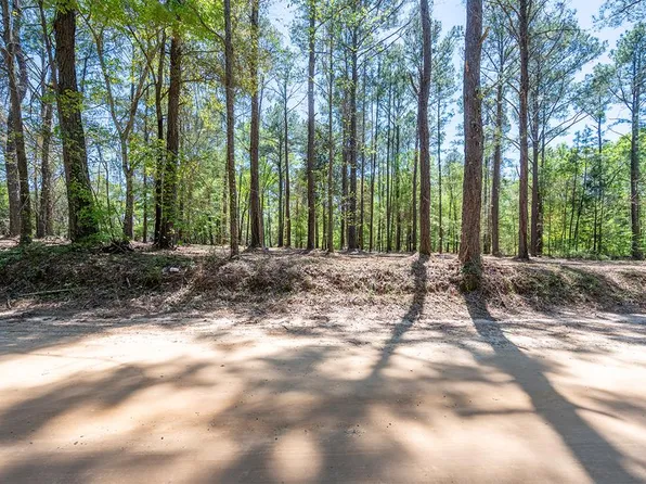 110 Largemouth Dr, Sylvester, GA 31791