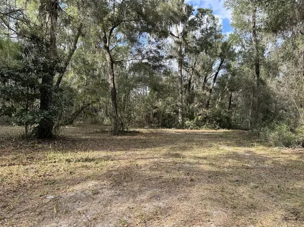 22422 NW 91 Court Rd #29, Micanopy, FL 32667