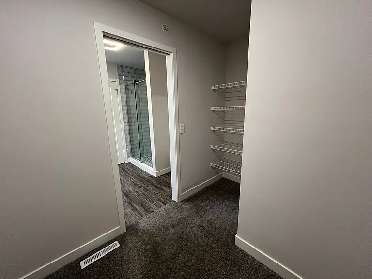 Primary Closet