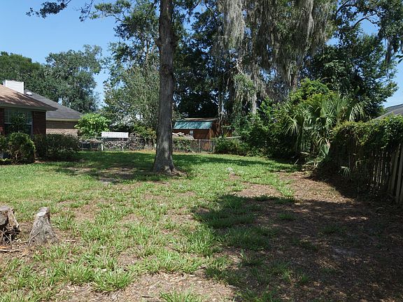 Backyard 3