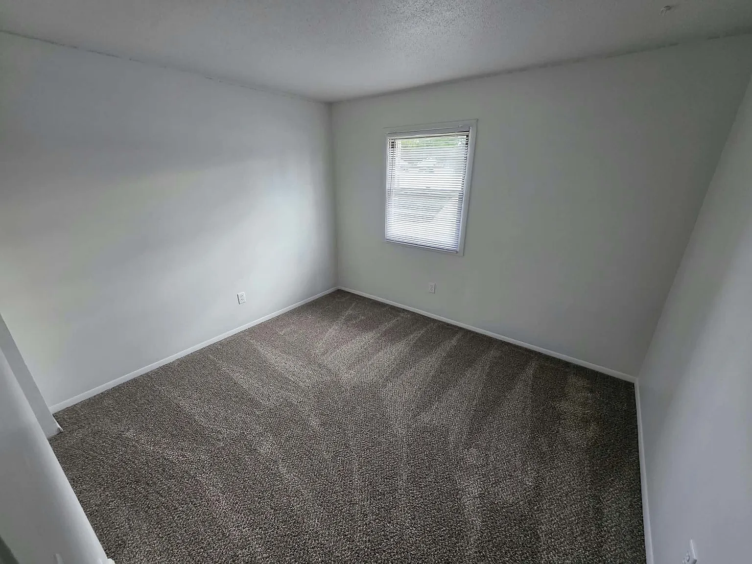 2 bed, $975 — Photo 3