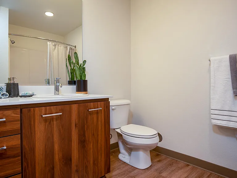 Windsor at Amberglen Apartments | Bathroom