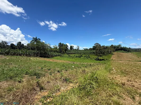 1 Highway 446 Bo Robles San Sebastian Finca #Km-4.1-3.5, San Sebastian, PR 00685