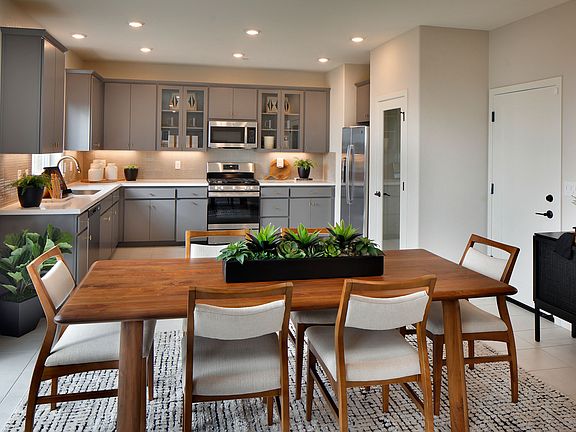 Vibrance Plan1 Model