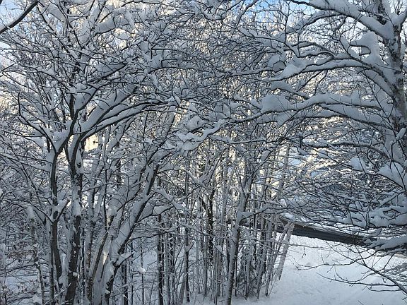Winter view of the driveway from upstairs