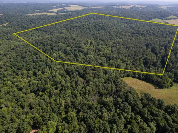 0 Dan Station Rd, Olaton, KY 42361