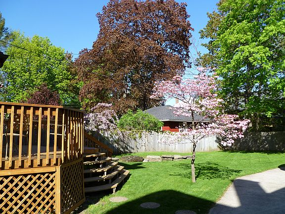 Backyard in Spring Bloom