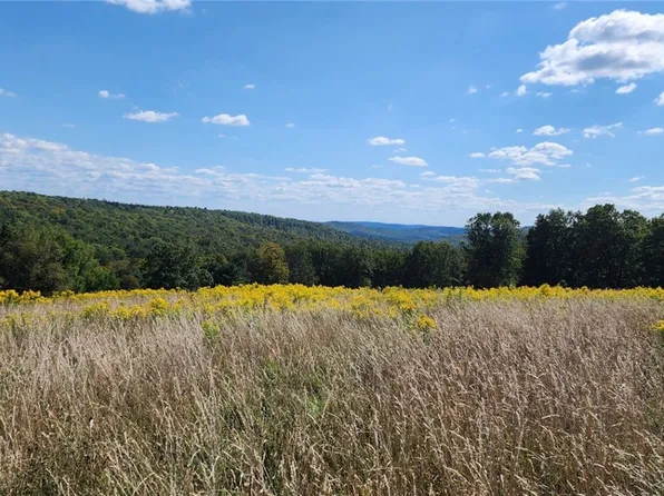 212 Hill Rd #A, Akron, NY 14001