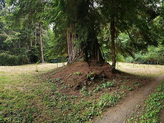 Drainfield from the private road