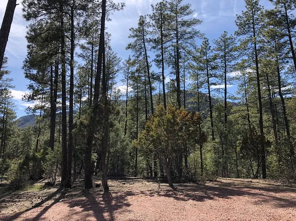 6691 W Pine Cone Trl, Strawberry, AZ 85544
