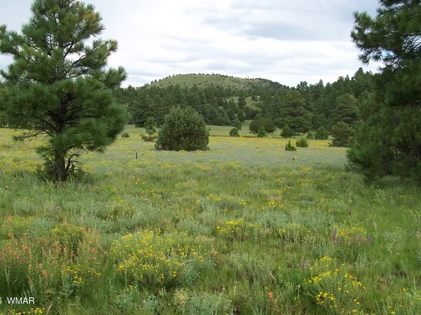 5 Red Cabin Rnch, Vernon, AZ 85940