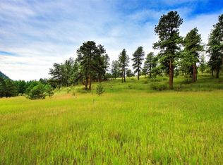 14424 Reserve Rd, Pine, CO 80470