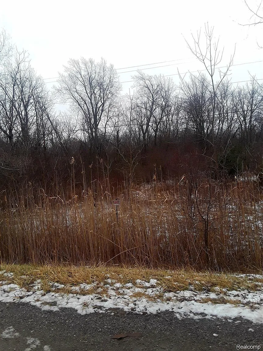 0 E Maple Ave photo 1