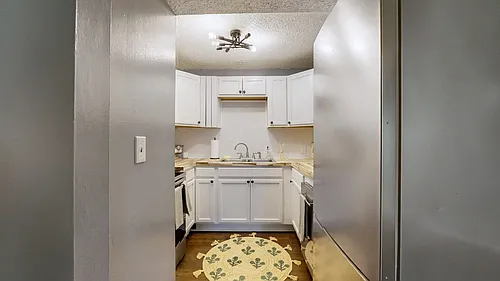 1901 18th Ave S #207 Photo 1