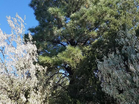 5th image of Sky Crest Dr