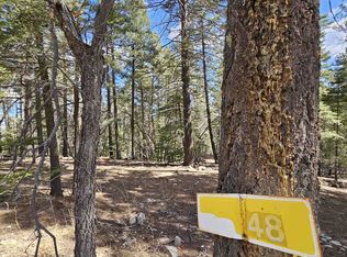 71 Lee Cir, Cloudcroft, NM 88317