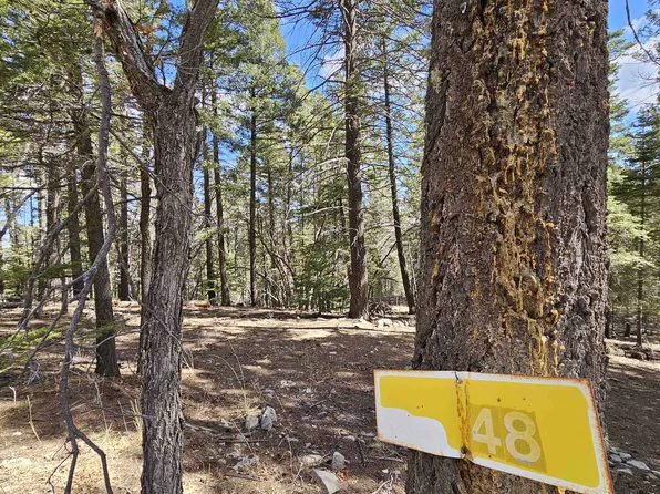 71 Lee Cir, Cloudcroft, NM 88317