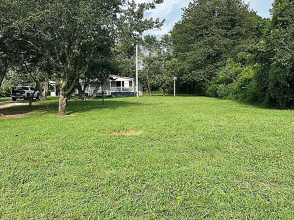 5th image of 34438 State Highway 25